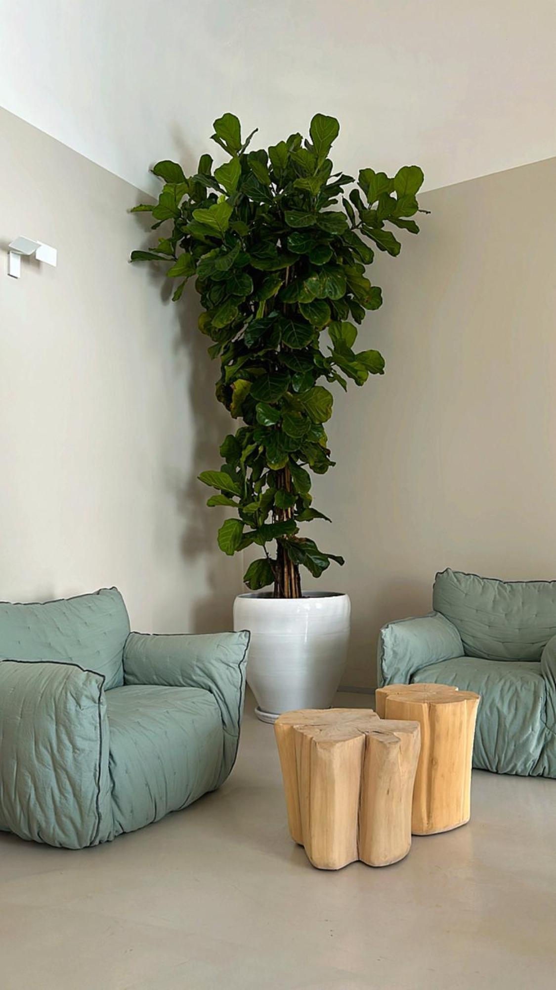 Palazzo Console Bed & Breakfast Lecce Exterior photo